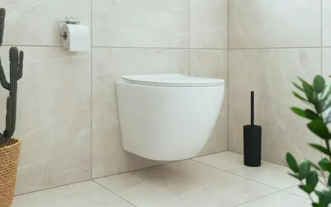 Nowoczesna łazienka z wiszącą muszlą klozetową. Obok stojąca szczotka i kaktus w wiklinowym koszu.