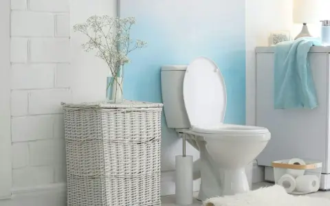 Biała, ceramiczna spłuczka WC starego typu w łazience z wiklinowym koszem i bukietem gipsówki.